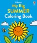 My Big Summer Coloring Book
