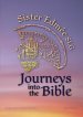 Journeys into the Bible