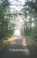 The Journey In A Walk With Christ: For New Believers