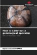 How to carry out a gemological appraisal
