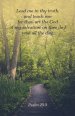 Legacy Bulletin: Teach Me (Package of 100)