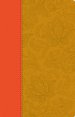 Holy Bible (ESV) : Paisley Tan Thinline Edition
