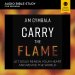 Carry the Flame: Audio Bible Studies