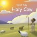 Don't Say Holy Cow