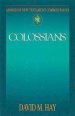 Colossians : Abingdon New Testament Commentary
