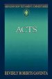 Abingdon New Testament Commentaries - Acts