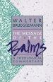 Psalms : Theological Commentary 