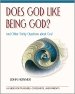 Does God Like Being God?: And Other Tricky Questions about God