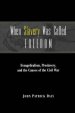 When Slavery Was Called Freedom: Evangelicalism, Proslavery, and the Causes of the Civil War