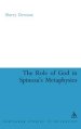 The Role of God in Spinoza's Metaphysics