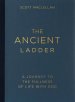Ancient Ladder