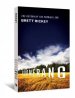 Boomerang : The Return Of The Prodigal Son
