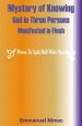 Mystery of Knowing God in Three Persons Manifested in Flesh: Power To Split Hell Wide Open