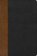 RVR 1960 Biblia de Estudio Arcoíris, tostado/negro símil piel con índice