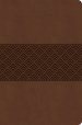 CSB Everyday Study Bible, Brown Burnished, Global