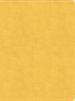 CSB Lifeway Women's Bible, Marigold LeatherTouch