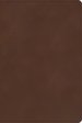 CSB Rainbow Study Bible, Brown LeatherTouch, Indexed