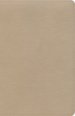KJV Thinline Bible, Gold LeatherTouch