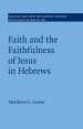 Faith and the Faithfulness of Jesus in Hebrews: Volume 160