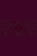 The Passion Translation New Testament (2020 Edition) Large Print Burgundy: With Psalms, Proverbs and Song of Songs
