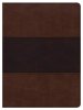 CSB Apologetics Study Bible, Mahogany Leathertouch, Indexed