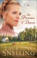 The Promise of Dawn (Under Northern Skies Book #1)