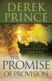 Promise of Provision, The [eBook]