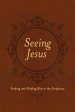 Seeing Jesus