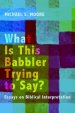 What Is This Babbler Trying to Say?