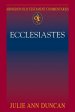 Abingdon Old Testament Commentaries: Ecclesiastes