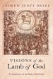 Visions of the Lamb of God: A Commentary on the Book of Revelation