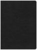 CSB Life Essentials Interactive Study Bible, Black Genuine Leather