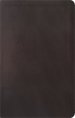 ESV Reformation Study Bible