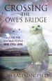 Crossing The Owl's Bridge