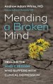 Mending a Broken Mind