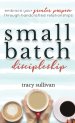 Small Batch Discipleship: Embrace Your Greater Purpose Through Handcrafted Relationships