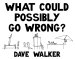 What Could Possibly Go Wrong?