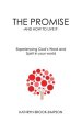 The Promise - And How to Live It -: Experiencing God's Word and Spirit in your world