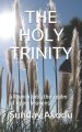 The Holy Trinity: a launch into the realm of open heavens