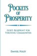 Pockets of Prosperity: God's Blueprint for Thriving Communities