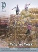 Plough Quarterly No. 43 - Why We Work