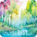 Rest Cork Coaster
