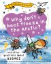 Question Of Geography: Why Don\'t Bees Freeze In The Arctic?