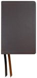 NASB 2020 Large Print Personal Size Bible, Brown Leather