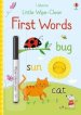 Little Wipe-clean First Words