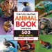 Fascinating Animal Book For Kids