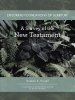 Exploring Foundations of Scripture: A Survey of the New Testament