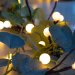 1.8m Berry & Eucalyptus Garland with 48 LEDS