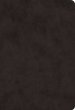 ESV Giant Print Value Thinline Bible (TruTone, Black)