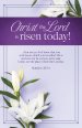 Easter Bulletin: Christ the Lord is Risen Today (Package of 100)